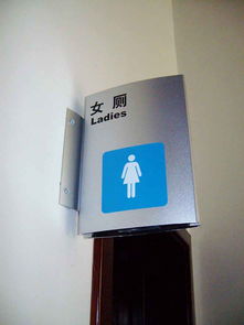 石家莊視覺(jué)設(shè)計(jì)的專業(yè)標(biāo)桿與環(huán)境品牌賦能